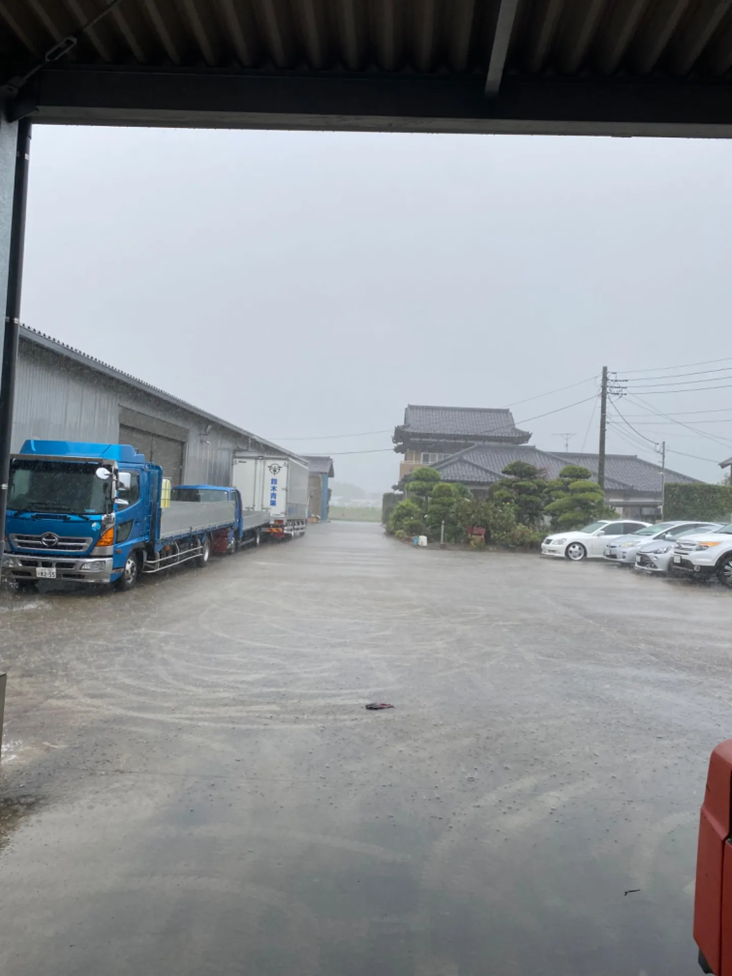 【さつまいも / 茨城県・鉾田市】今日の作業内容