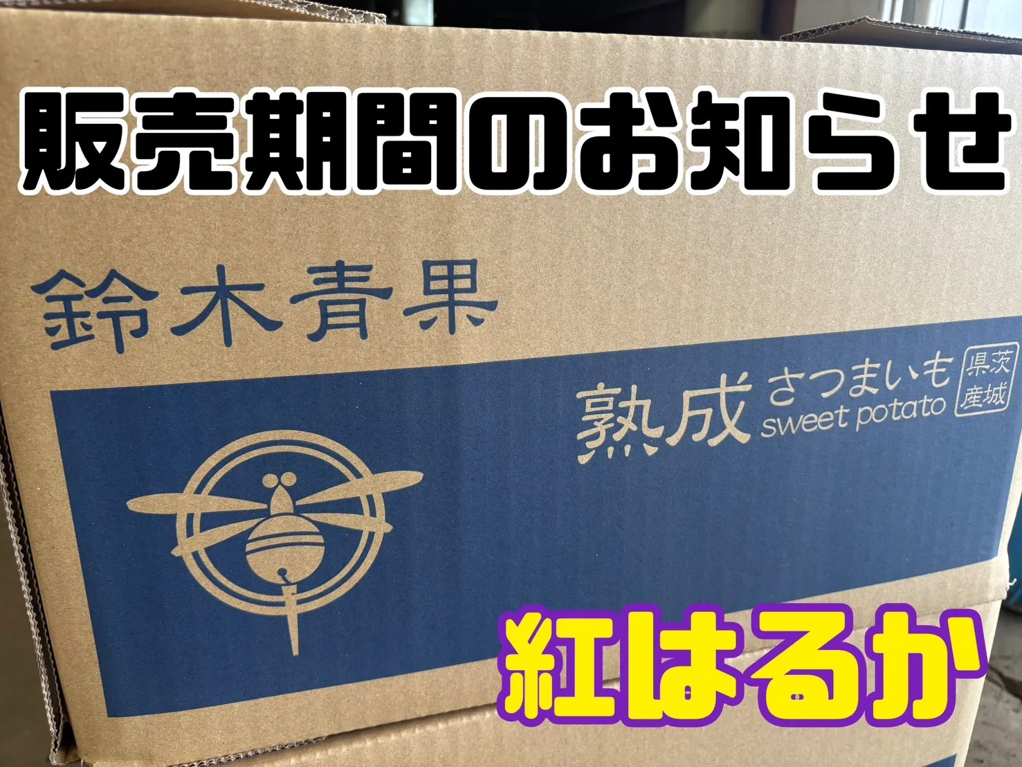 販売期間のお知らせ